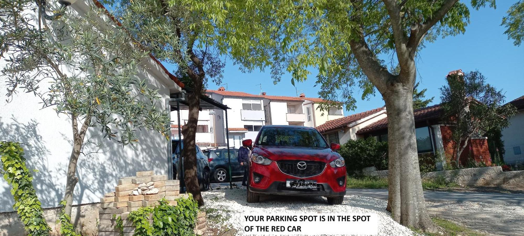 Bilini Garden Apartamento